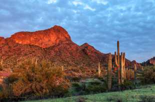 Picacho Peak-6230.jpg